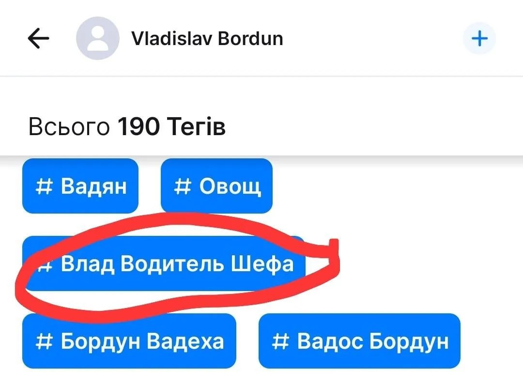 Ілюстрація до публікації «Заступник начальника Придніпровської Держекоінспекції Дмитро Шибко оформив майно на водія»