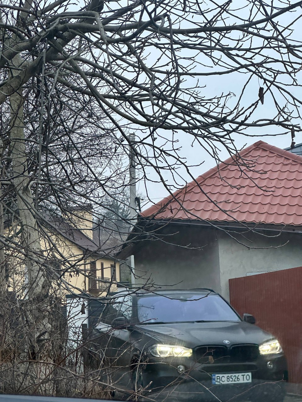 Ілюстрація до публікації «Перукарка-мільйонерка»