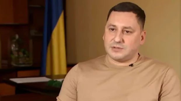 Ілюстрація до публікації «Заступник міністра екології санкціонував незаконну порубку дерев у нацпарках»