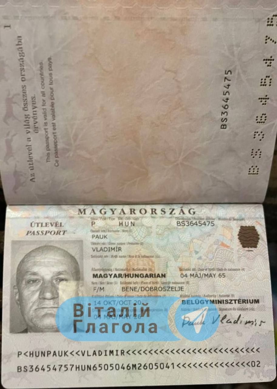 Ілюстрація до публікації «Журналіст Глагола вказує, що у голови Берегівської ВЛК з 11 млн грн знайшли ще й угорський паспорт»