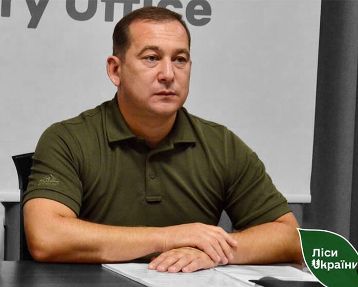 Ілюстрація до публікації «Як операційний директор «Лісів України» Олександр Кватирко рятує арештовані мільйони»