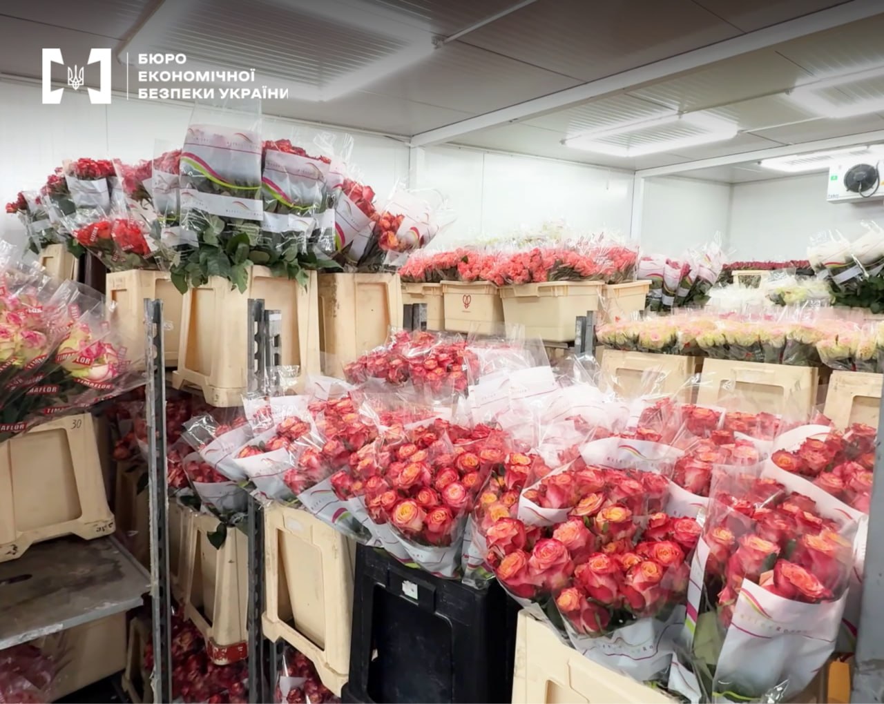 Ілюстрація до публікації «Квіткові магазини у 10 областях України працювали як єдина мережа, проте продажі оформлювали через окремих ФОПів.»