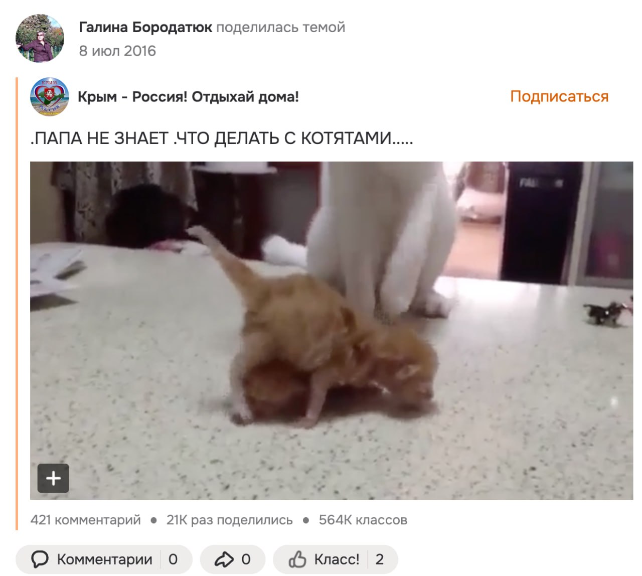 Ілюстрація до публікації «Мама власника компанії Fractal (Netpeak) Артема Бородатюка вважає, що Крим — то росія.»