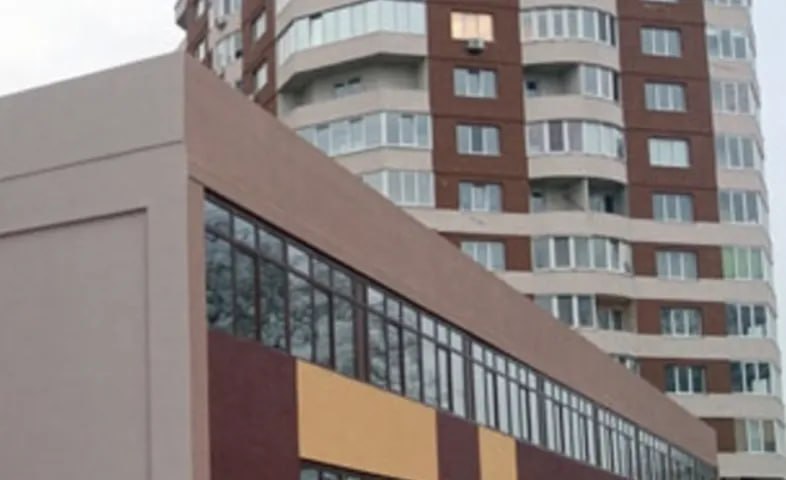 Ілюстрація до публікації «За роки депутатства до Олени Дудар накопичилося чимало запитань — і не лише в контексті її зв’язків із родинним бізнесом.»