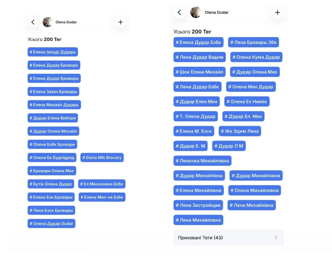 Ілюстрація до публікації «За роки депутатства до Олени Дудар накопичилося чимало запитань — і не лише в контексті її зв’язків із родинним бізнесом.»