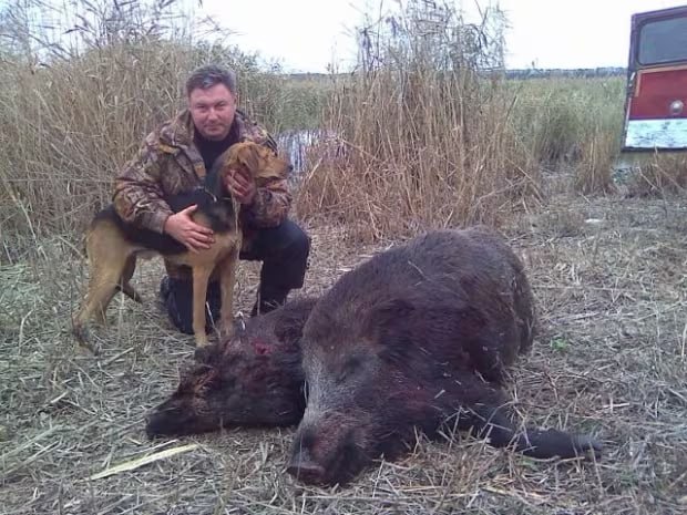Ілюстрація до публікації «Радник керівника ЧМП — фермер з луганської землянки Окрім вже згаданого керівника ТОВ «ДСК «Чорноморське морське пароплавство» Юрія Бережного (луганчанин, партія «Русь»), в…»