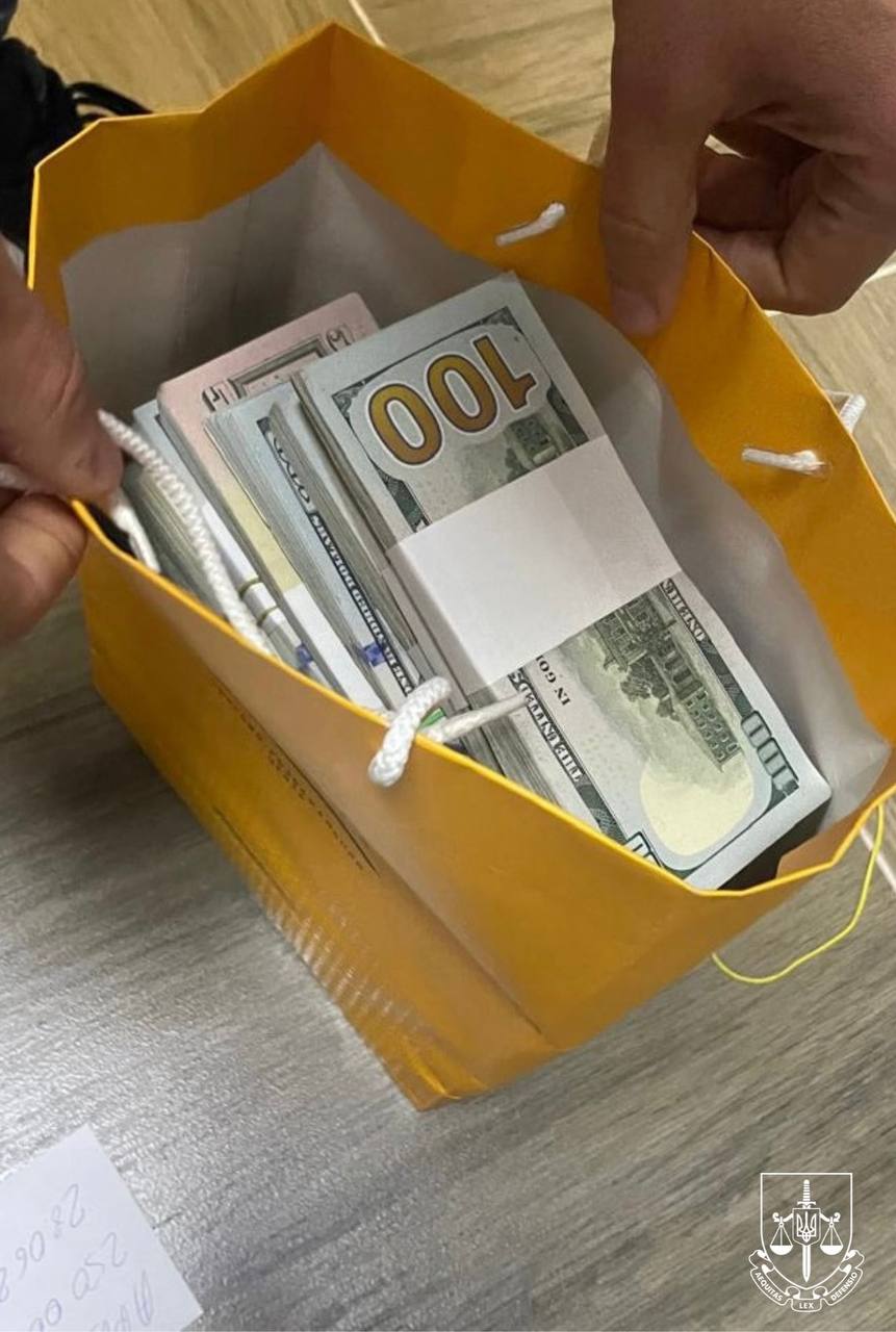 Ілюстрація до публікації «Ось така манкурша - депутат фракції "ЄС" Світлана Баранська з Хмельницької міськради, в якої знайшли 1,5 млн доларів.»