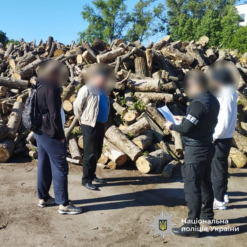 Ілюстрація до публікації «Дрова для ЗСУ: мародерство на 90 млн гривень»