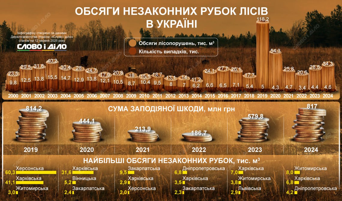 Ілюстрація до публікації «Після двох років повномасштабної війни лісова мафія нарощує обсяги»