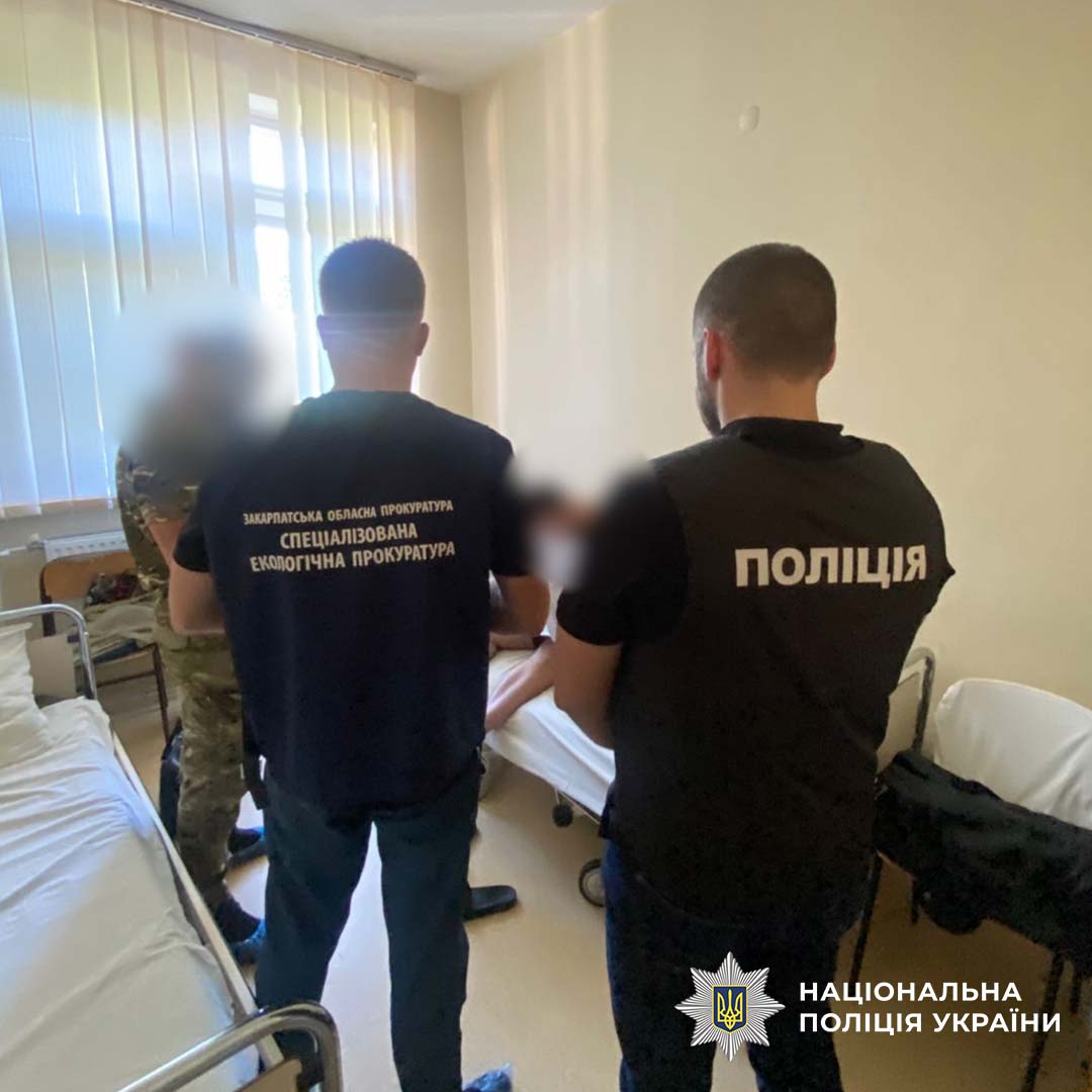 Ілюстрація до публікації «Схеми ДП "Ліси України": начальнику Берегівського надлісництва Анатолію Козару висунили підозру»