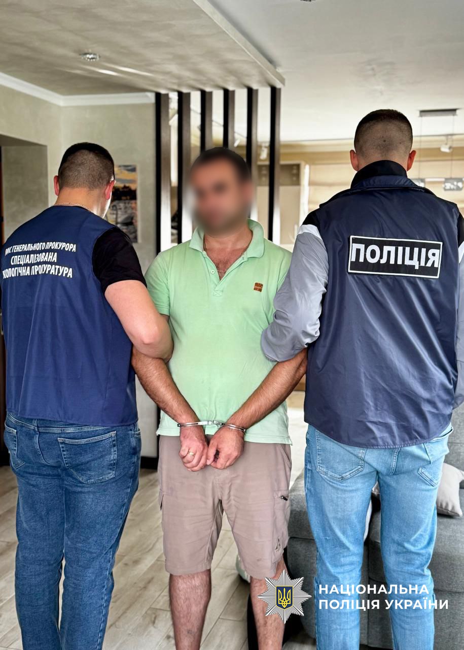 Ілюстрація до публікації «Роками «заробляли» мільйони на тіньовому продажі деревини: кіберполіцейські знешкодили злочинну організацію»