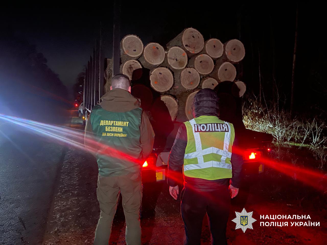 Ілюстрація до публікації «Роками «заробляли» мільйони на тіньовому продажі деревини: кіберполіцейські знешкодили злочинну організацію»