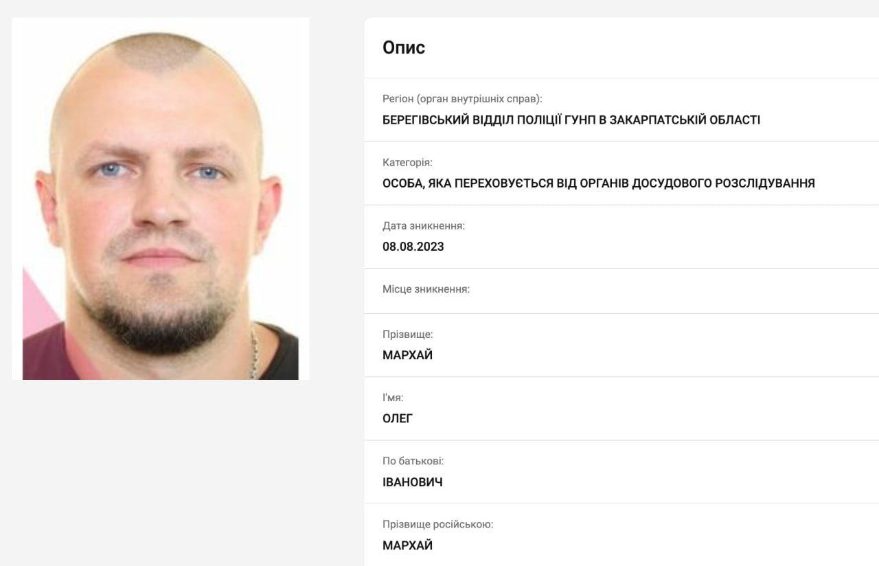 Ілюстрація до публікації «Ось ця архітекторка Ірина Терех від Вавриша — СТО по ракетам "Фламінго». В неї є бізнес-партнер по ТОВ "Сіра Речовина" та ТОВ "Почупарк" Олег Мархай.»