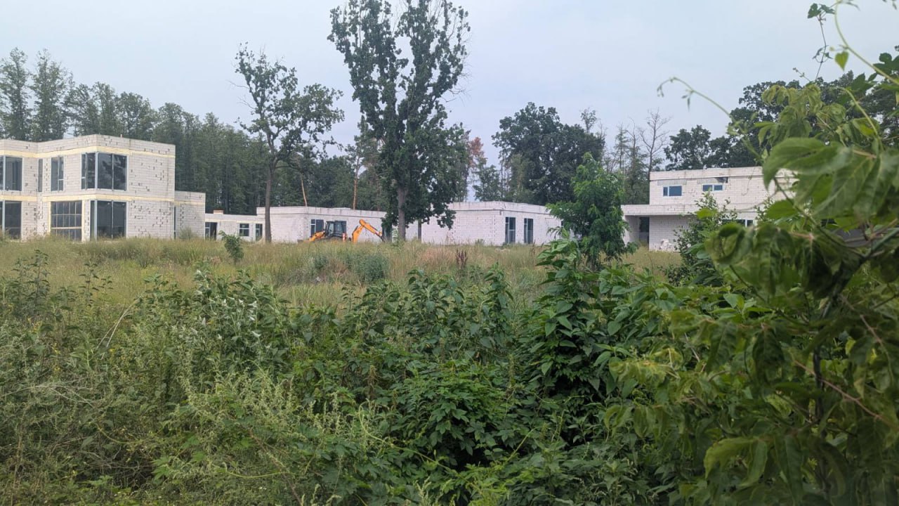 Ілюстрація до публікації «Чорт у зелених погонах»