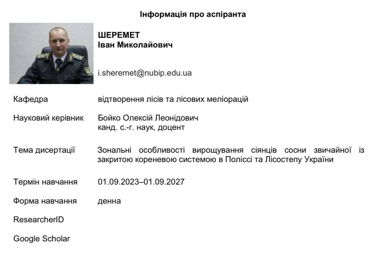 Ілюстрація до публікації «Кумівство, мільйонні зарплати та денна аспірантура: хто насправді керує у “Лісах України”»
