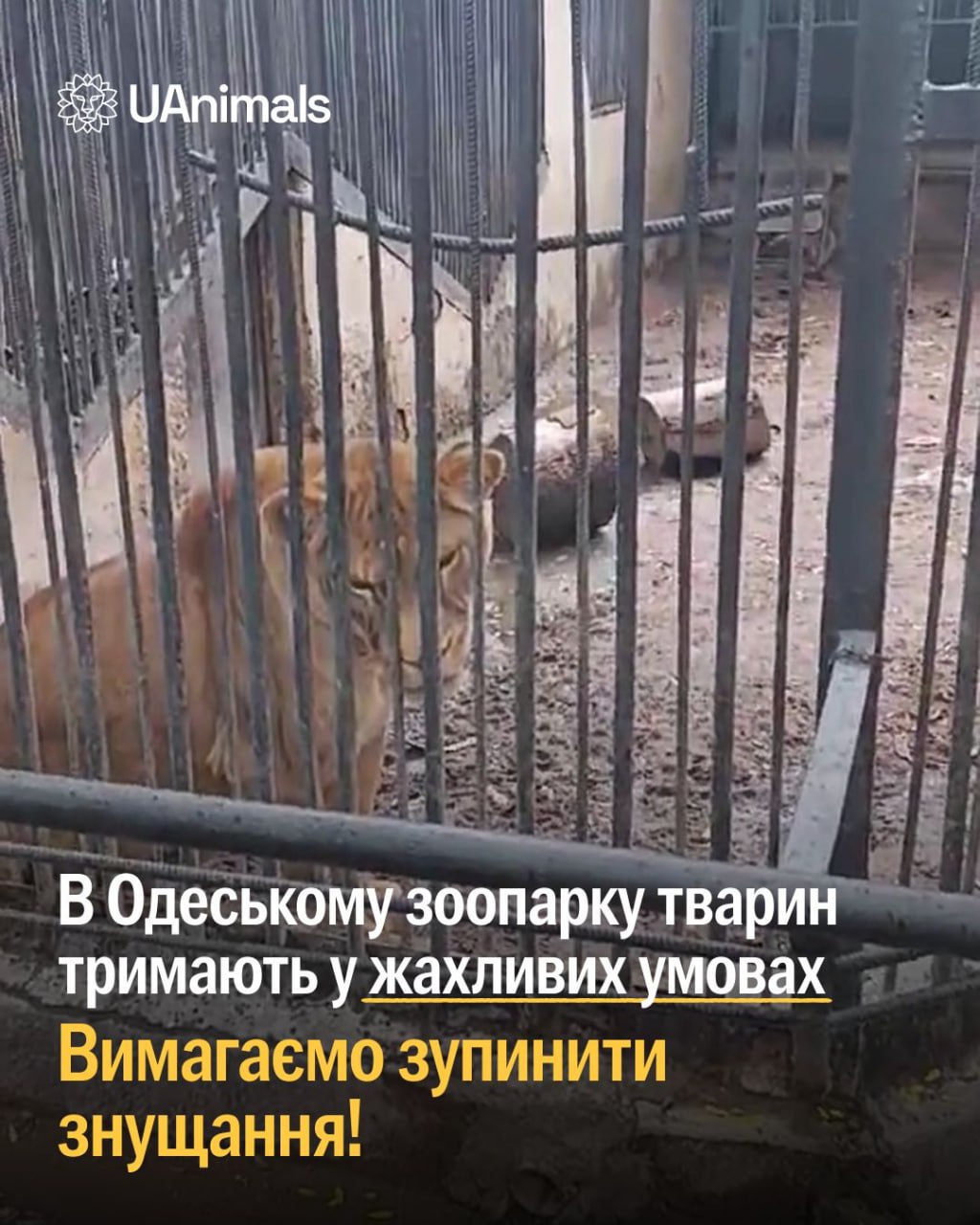 Ілюстрація до публікації «Нові шокуючі наслідки роботи мера Геннадія Труханова»