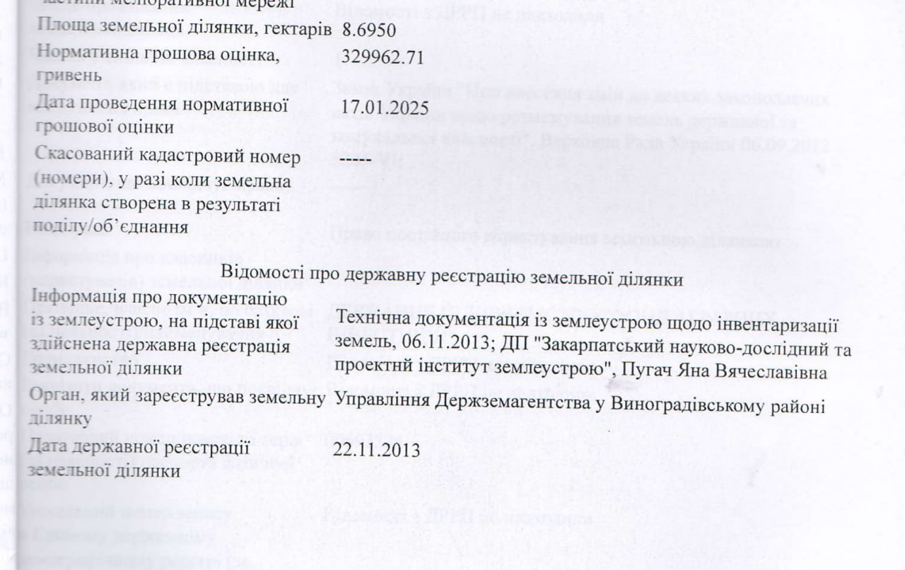 Ілюстрація до публікації «Ви десь бачили сільськогосподарський ліс?»