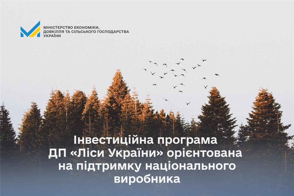 Ілюстрація до публікації ««Ліси України»: запитання до інвестиційної програми на 4,1 млрд»