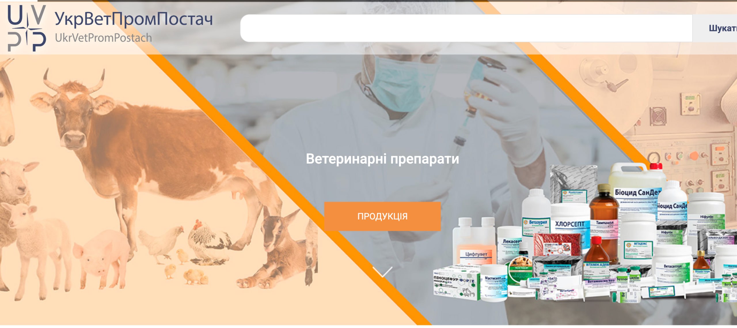 Ілюстрація до публікації «Сказ: публікація про захворювання та його небезпеку»